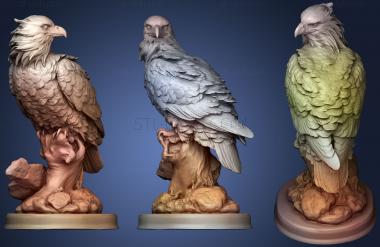 3D model Eagle (STL)